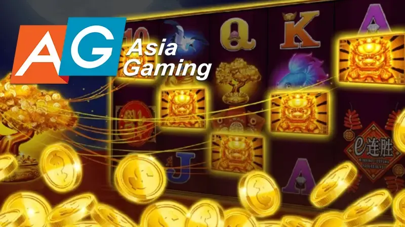 เลือกใช้บริการ asia gaming กับเว็บตรง มีข้อดีที่เหนือความคาดหมาย